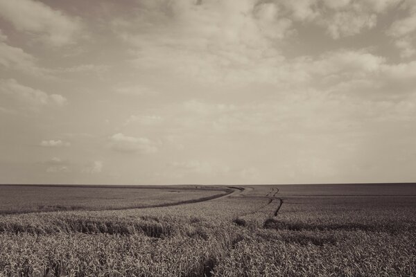 Czarno-białe zdjęcie krajobrazy rolnicze