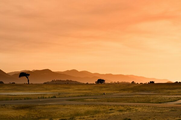 Paisaje desértico al atardecer