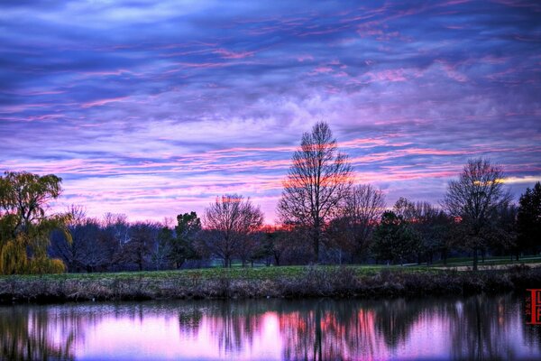 A fabulous spring evening in the park