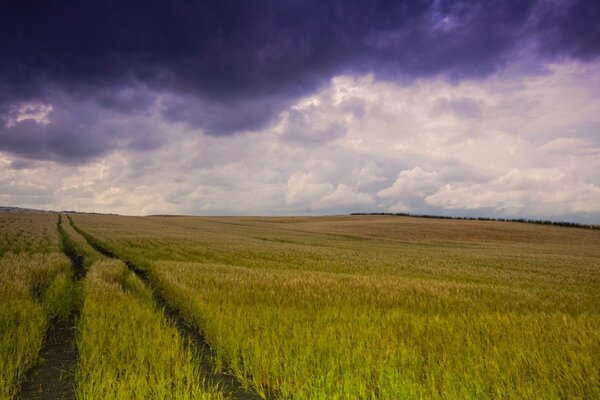 Antes da tempestade no campo