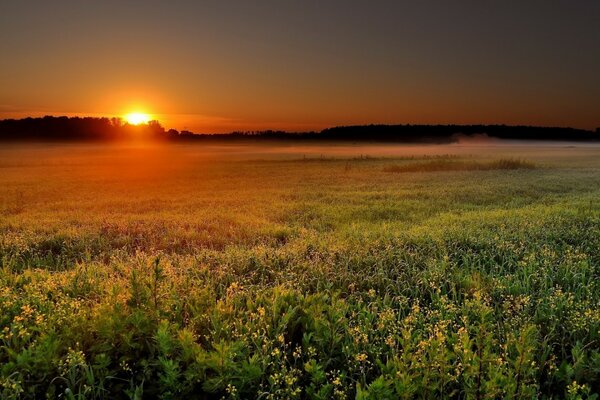 Paysage coucher de soleil