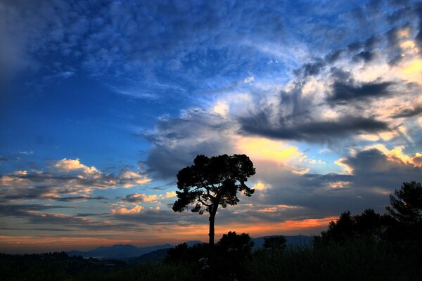 Landscape at dawn in the clouds