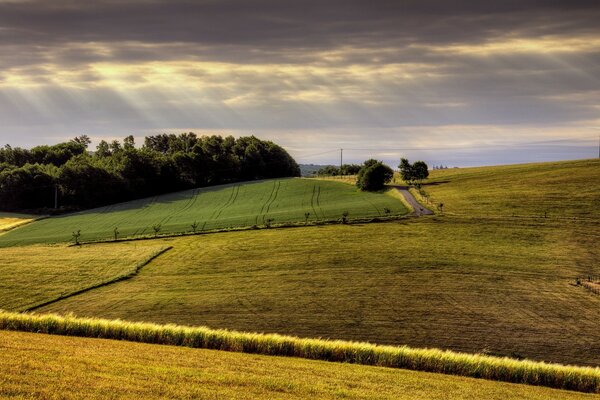 Landwirtschaftliche Felder und Landwirte