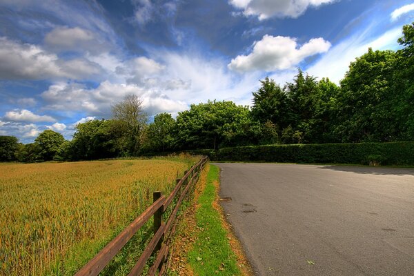 Rural road into fields and forests