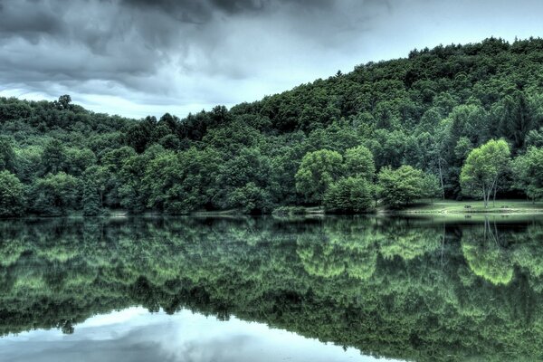 Floresta densa nas margens de um lago cristalino