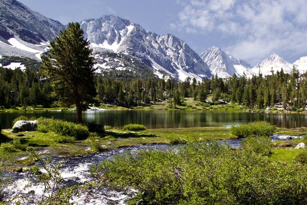 Lake in a mountain gorge by the water landscape