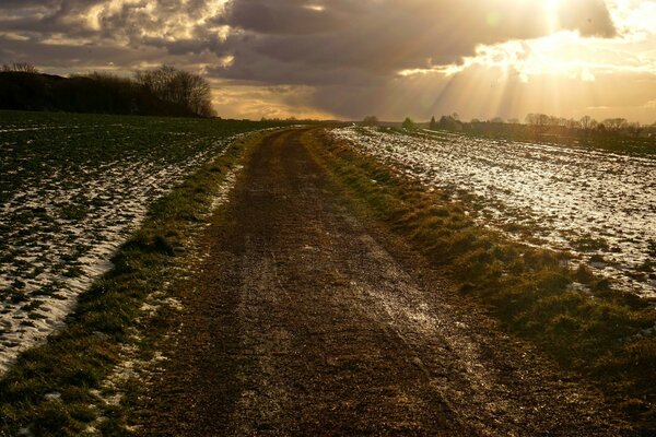 One spring sunset in the field