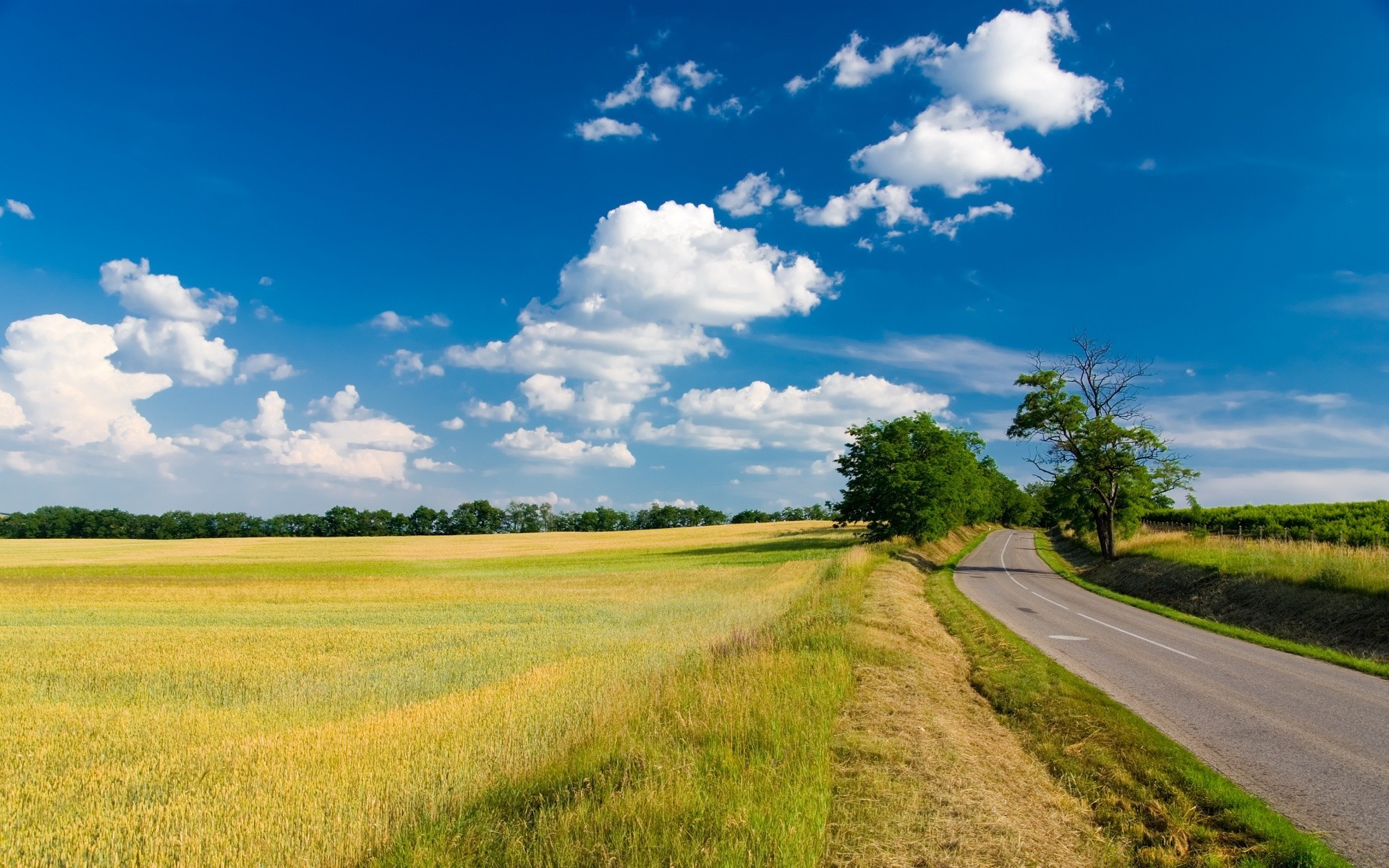 paysage rural campagne paysage ciel agriculture nature route champ herbe été à l extérieur arbre ferme pays terres agricoles beau temps foin pâturage terres cultivées