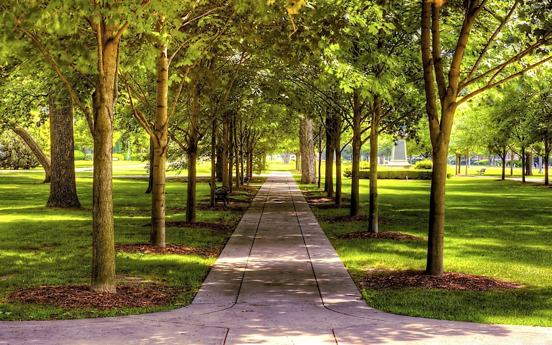 manzara ağaç ahşap manzara rehberlik park yaprak doğa yol çimen yaz çevre sokak patika bahçe gölge güzel hava açık havada flora güneş