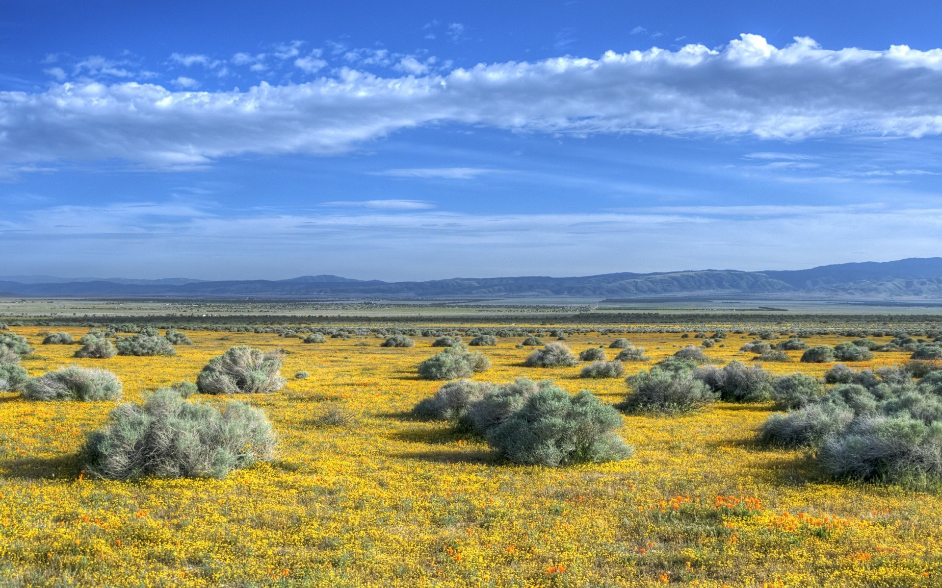 landschaften landschaft natur himmel landschaftlich im freien weiden feld gras heuhaufen reisen szene sommer landschaften