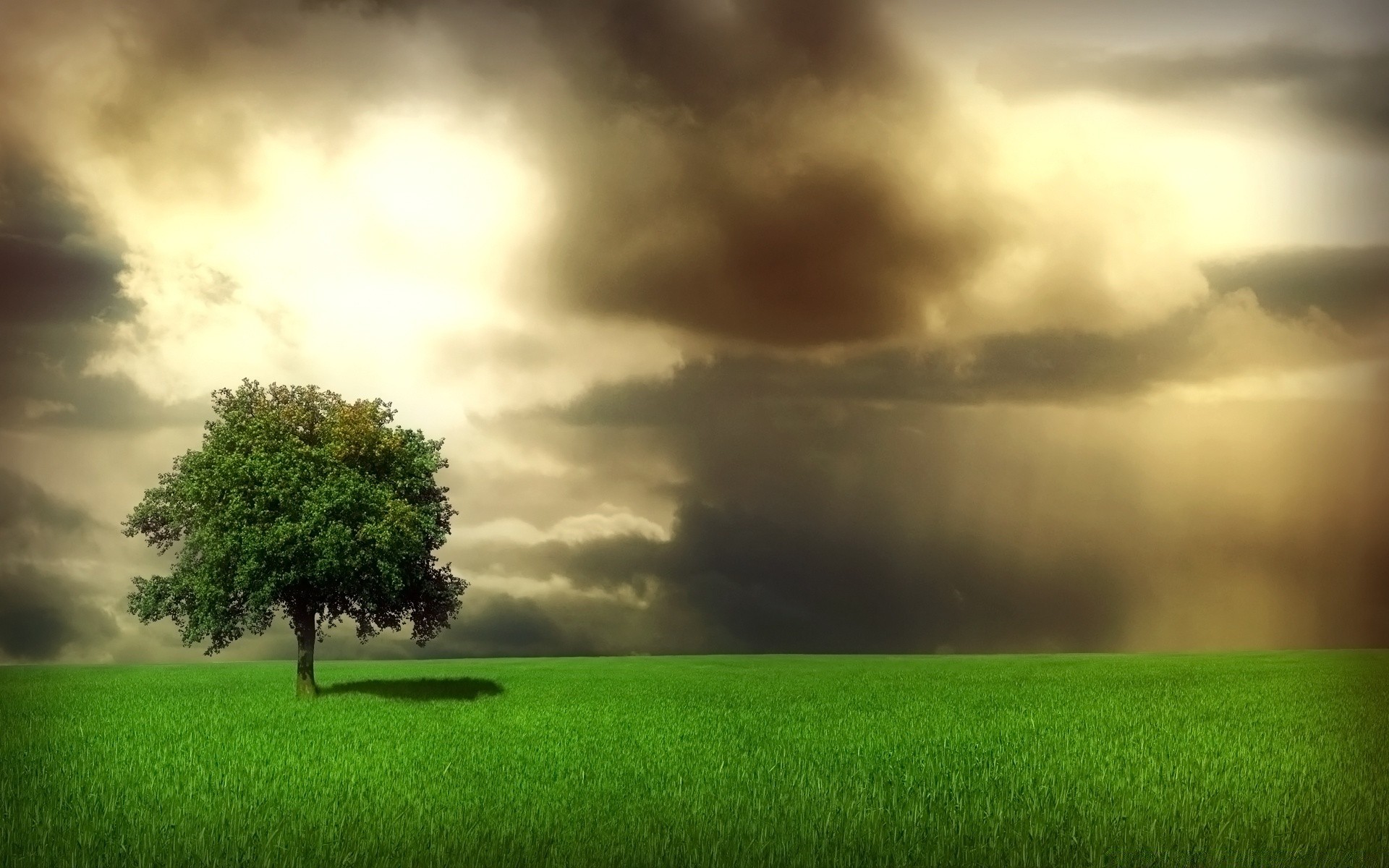 landscapes landscape grass sun dawn field nature sunset rain storm outdoors rural sky countryside weather fair weather summer grassland hayfield