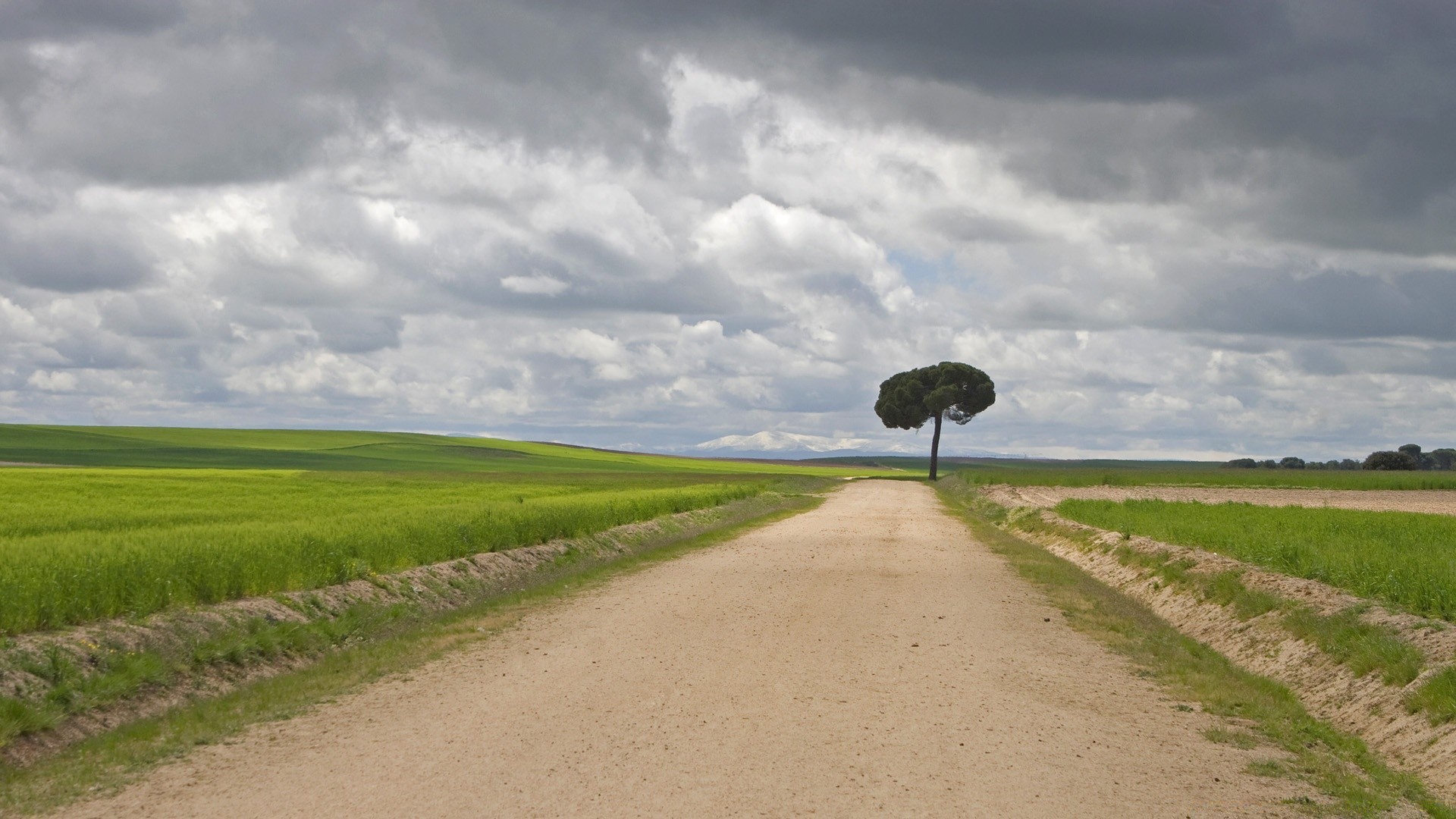 paisagens paisagem agricultura grama céu campo campo natureza rural ao ar livre fazenda estrada árvore solo nuvem verão pasto viagens terras cultivadas