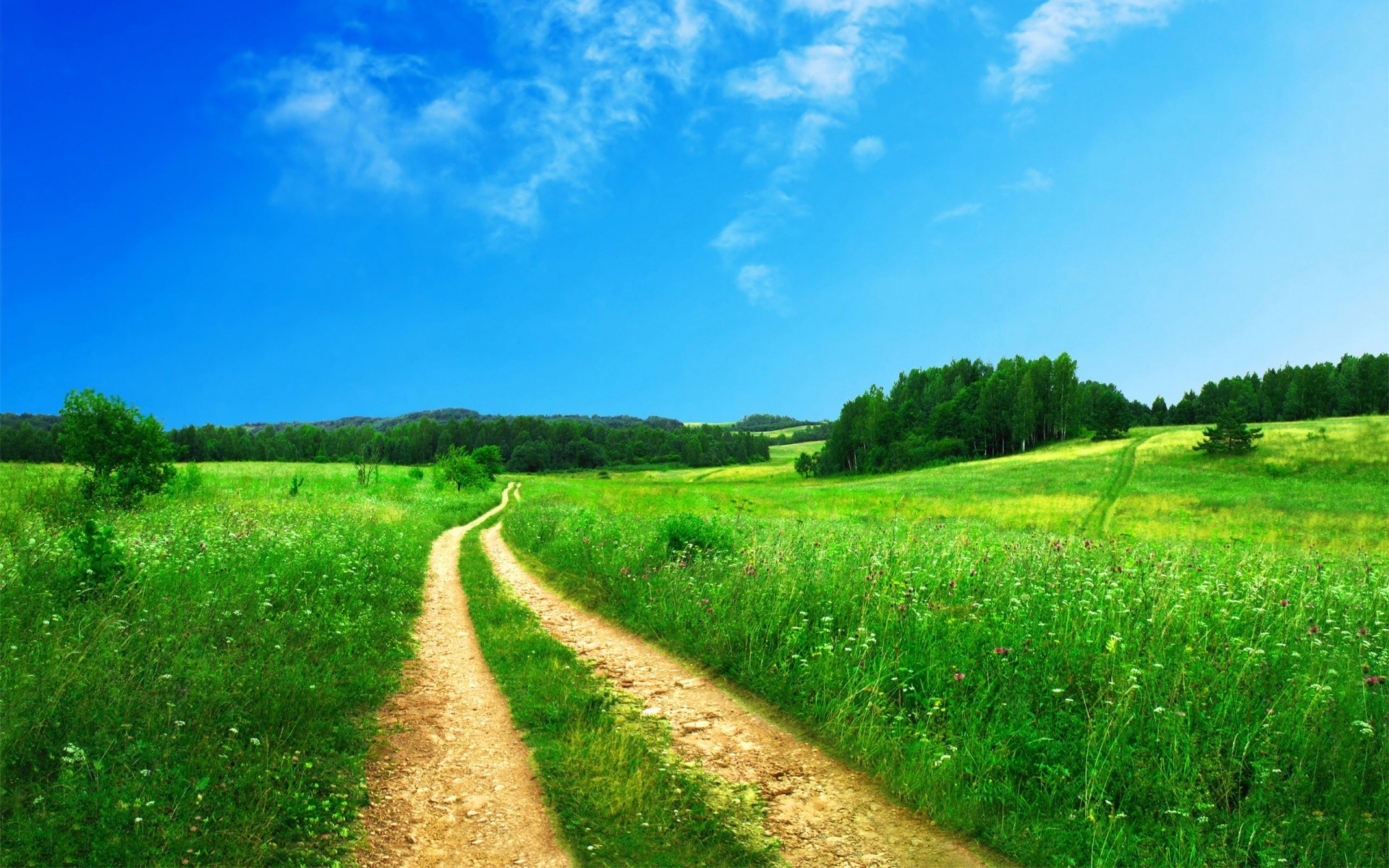 paesaggio rurale paesaggio campo erba campagna agricoltura natura fieno estate cielo all aperto paese terreno fattoria pascolo strada orizzonte albero crescita