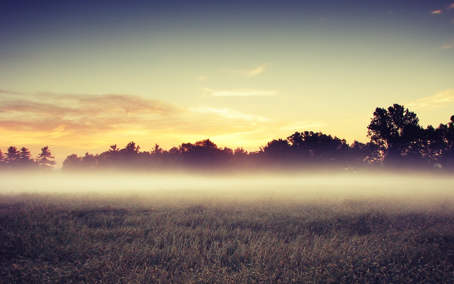 paesaggio tramonto paesaggio alba sole cielo natura sera albero luce crepuscolo campo bel tempo silhouette nebbia illuminato