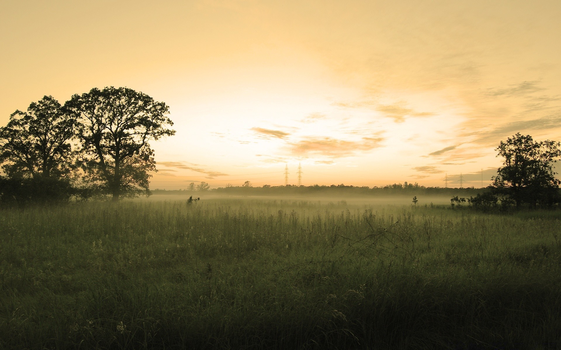 landscapes landscape tree sunset dawn field nature sky sun fog grass evening light farm outdoors weather mist dusk agriculture horizon