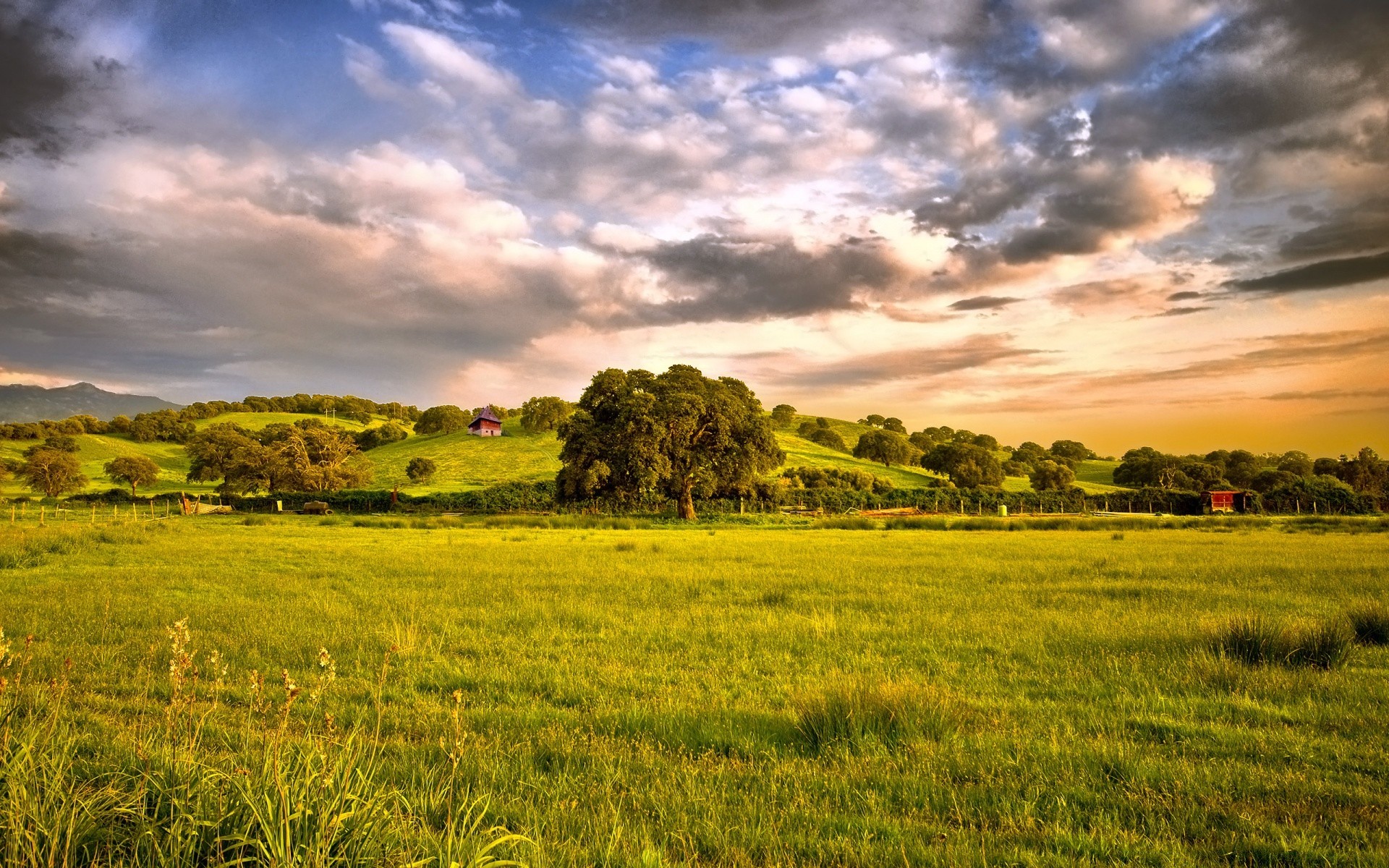 paysage paysage champ nature agriculture rural ciel campagne ferme été herbe pâturage soleil à l extérieur foin nuage coucher de soleil arbre beau temps pays