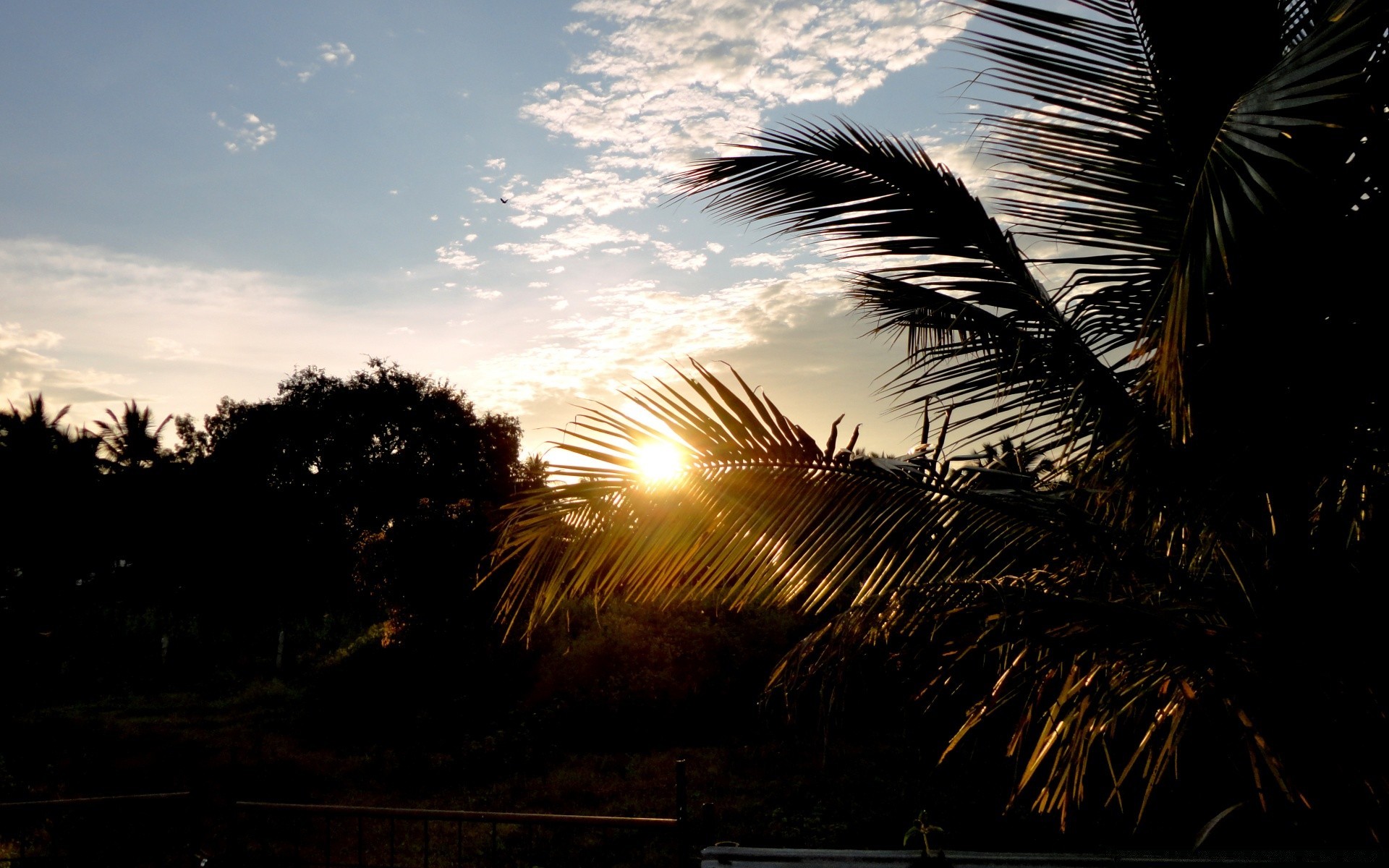 landschaft strand sonnenuntergang baum licht abend silhouette natur landschaft dämmerung sonne wasser himmel im freien meer hintergrundbeleuchtung dämmerung reisen ozean