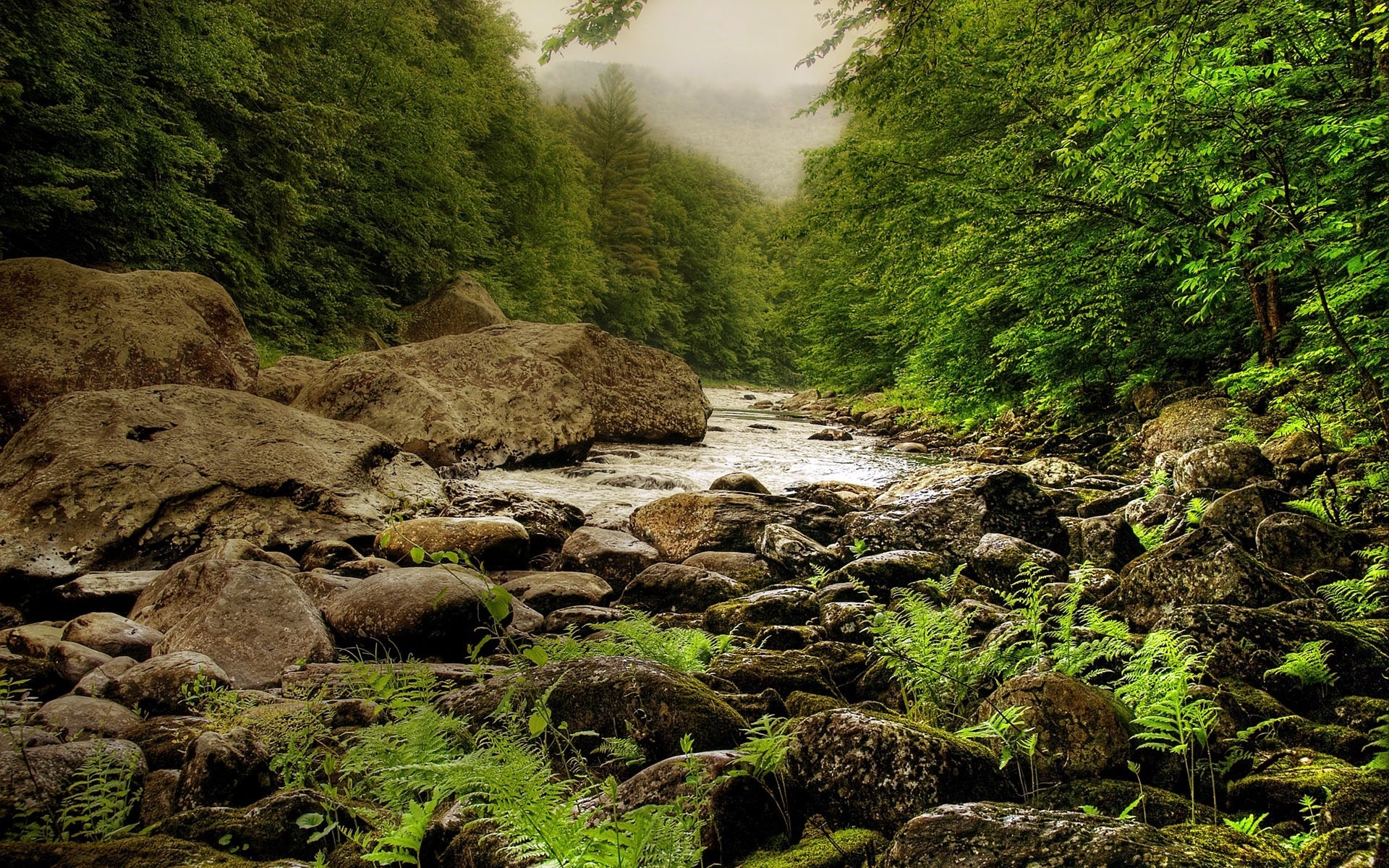 landschaft wasser natur landschaft reisen rock holz fluss im freien fluss berge baum blatt stein landschaftlich