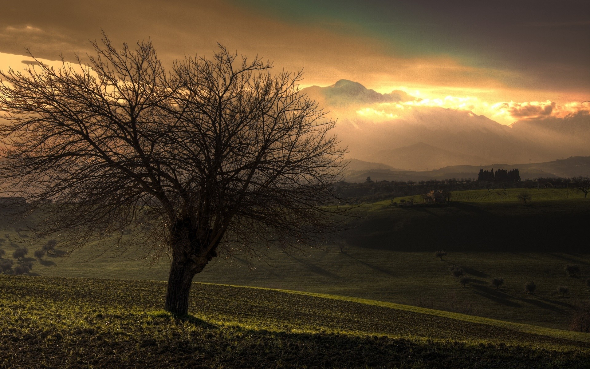 paysage coucher de soleil aube paysage arbre soir nature brouillard soleil ciel automne lumière crépuscule silhouette brouillard champ extérieur beau temps