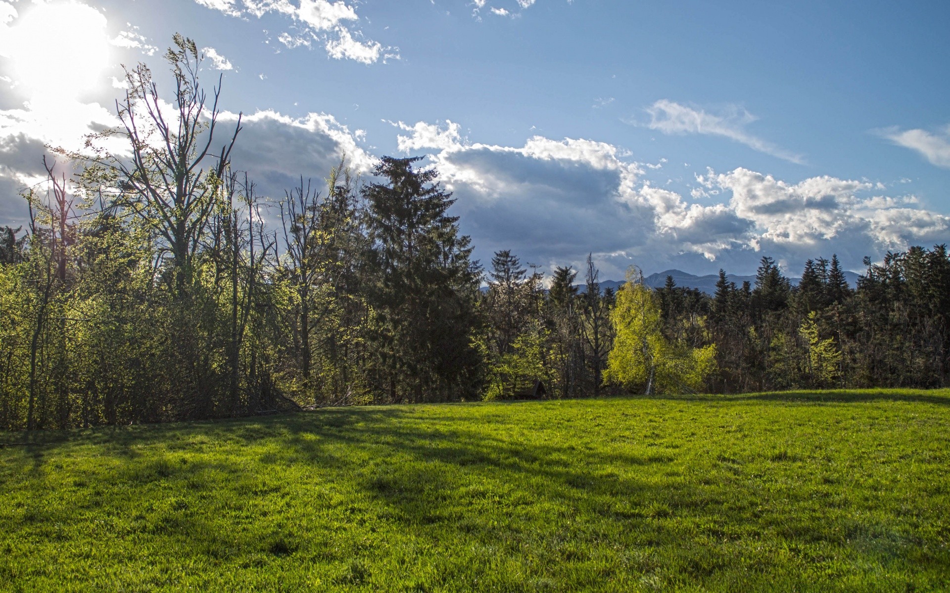 landscapes landscape tree nature wood grass sky hayfield scenic environment outdoors field hill summer countryside fair weather rural country mountain scenery