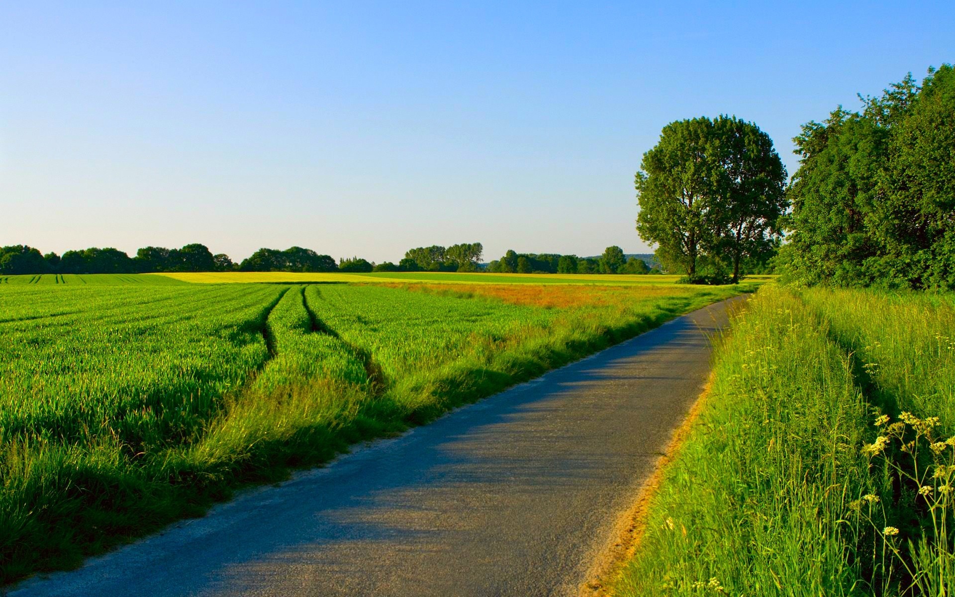 landscapes landscape nature rural agriculture countryside outdoors grass sky summer field tree farm growth