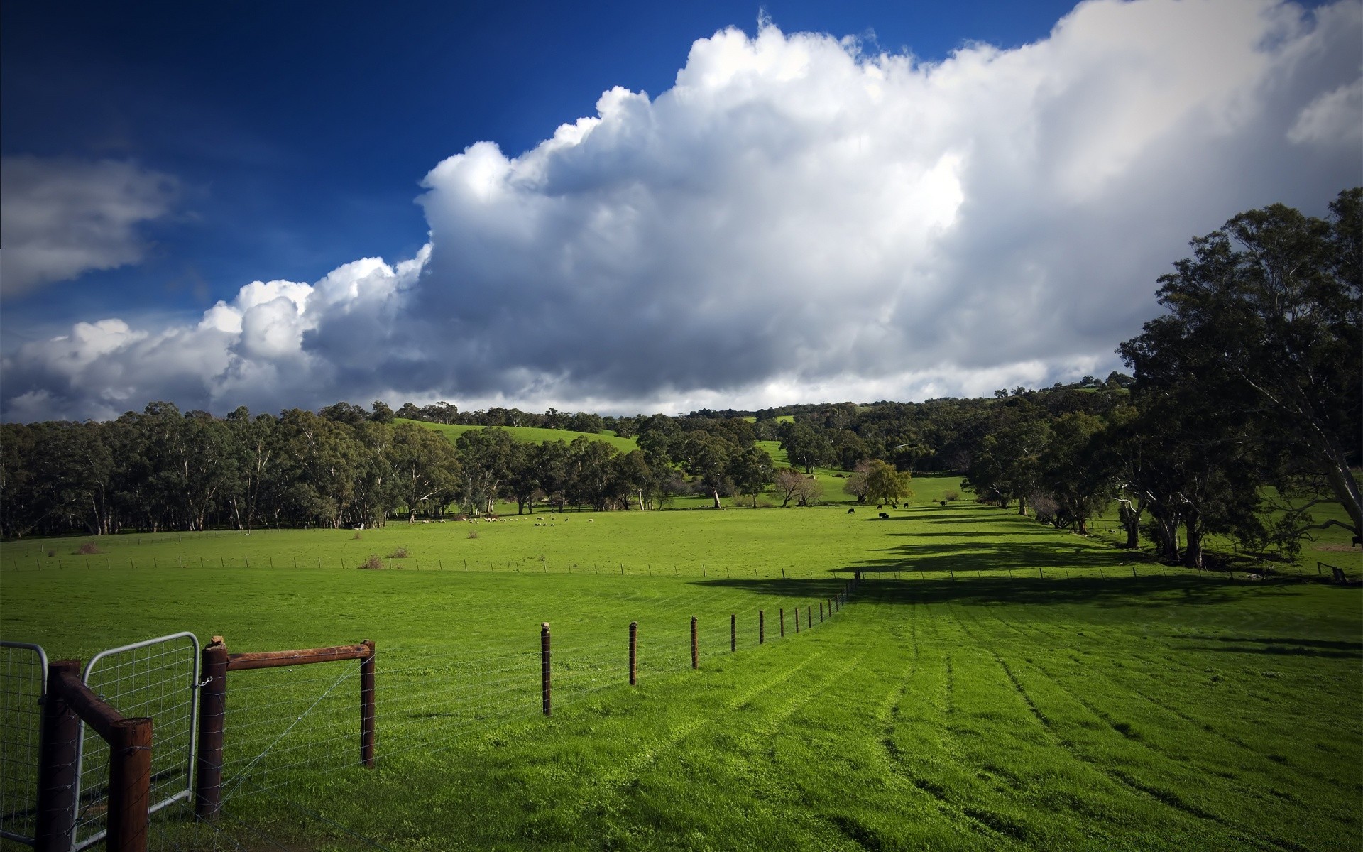 landscapes landscape grass tree nature sky agriculture rural countryside outdoors field summer wood cropland farm