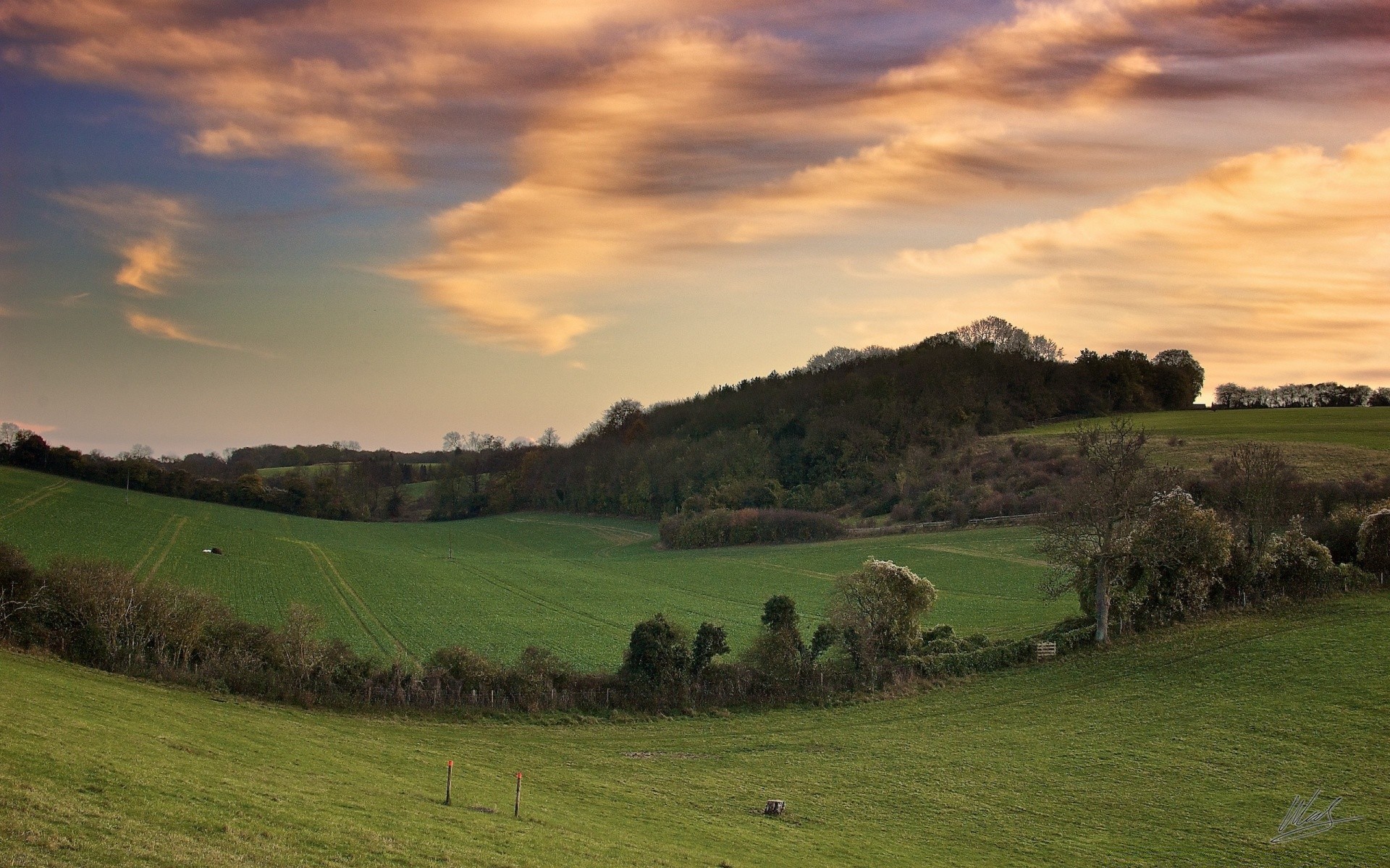 paysage paysage agriculture herbe campagne en plein air pastorale nature arbre ciel terres cultivées rural moutons pâturage ferme colline coucher de soleil pâturage voyage foin