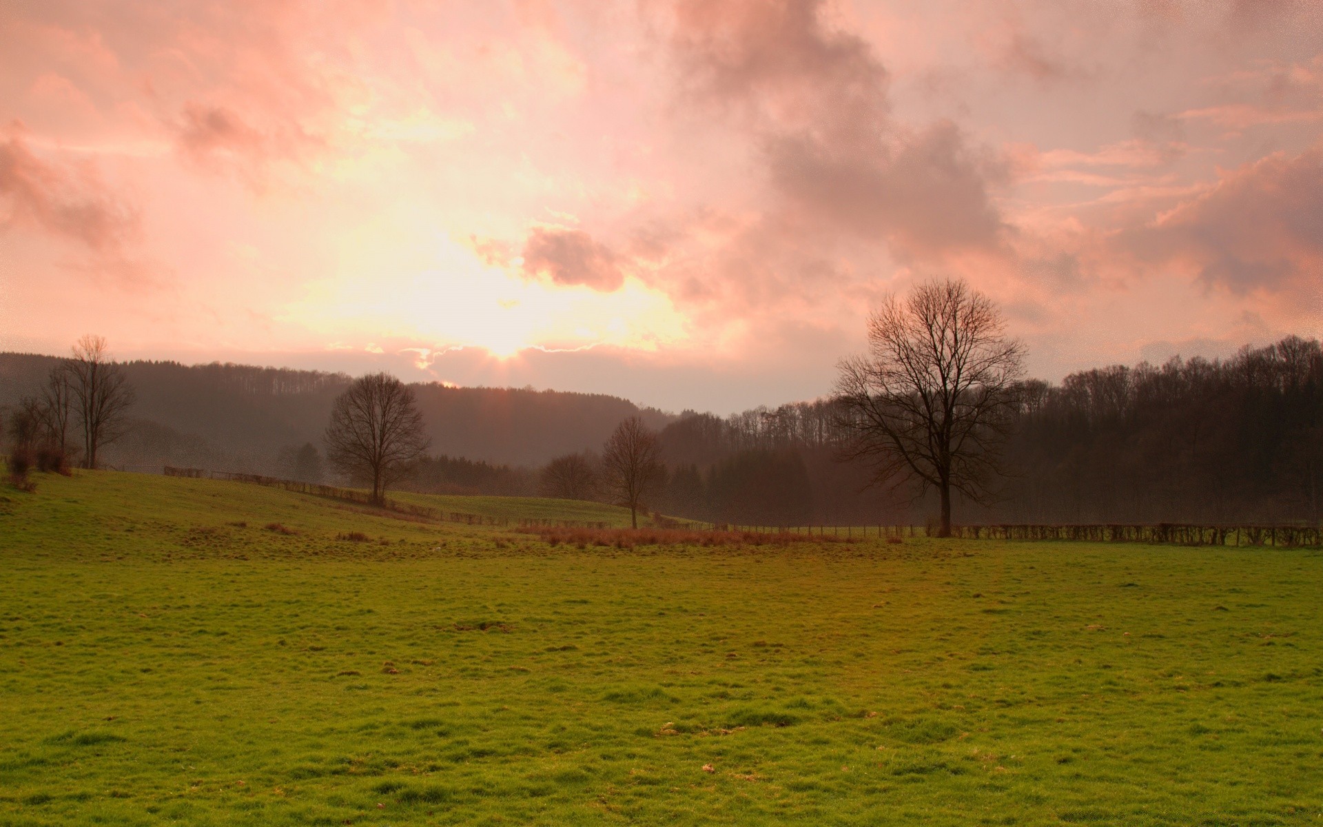 landscapes landscape dawn fog tree fall nature outdoors grass mist sunset sun field countryside fair weather rural light sky