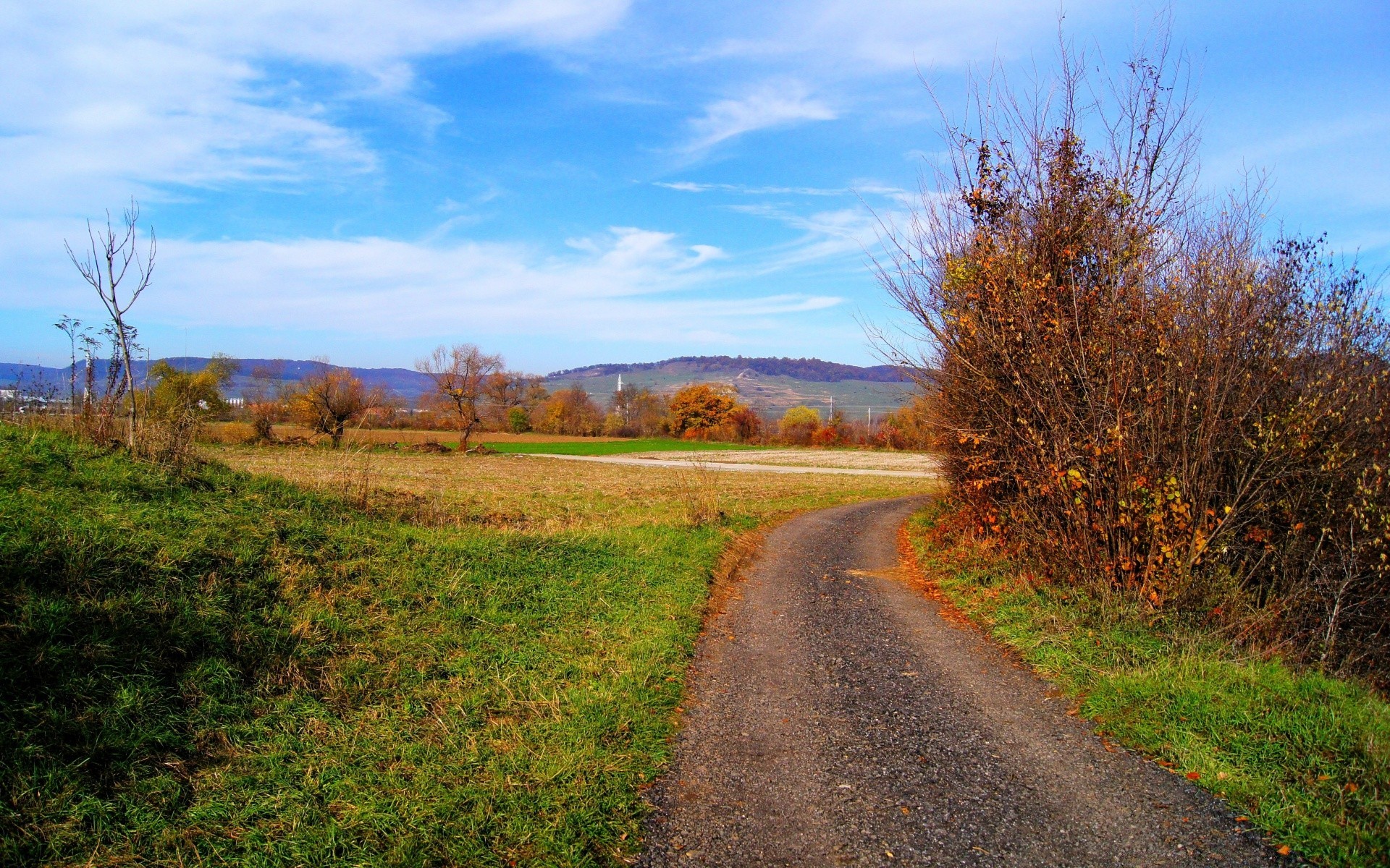 landscapes landscape road fall nature tree grass rural countryside guidance outdoors field season country sky wood leaf hayfield scenic