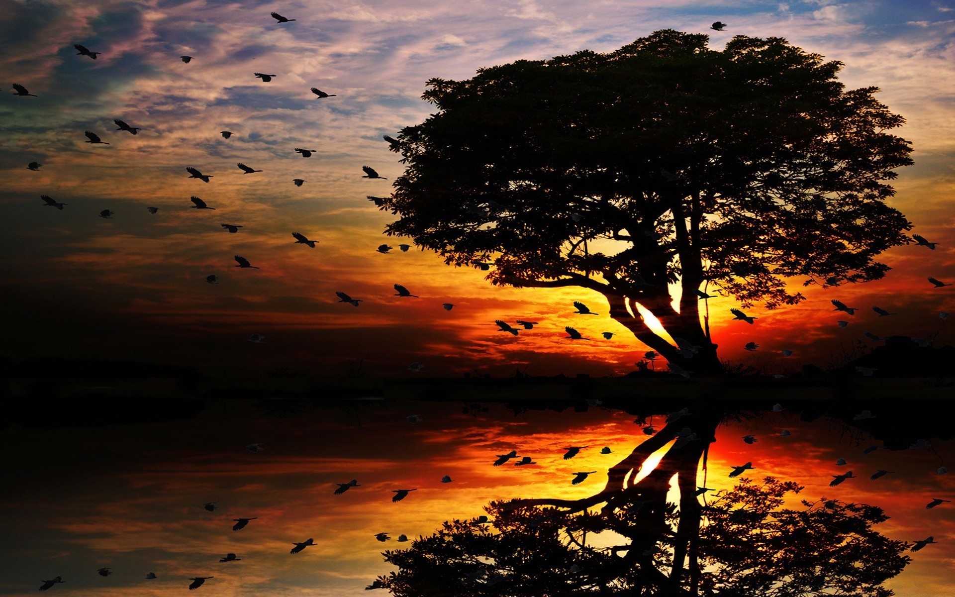 paesaggio tramonto alba sole sera crepuscolo natura cielo illuminato acqua bel tempo albero paesaggio