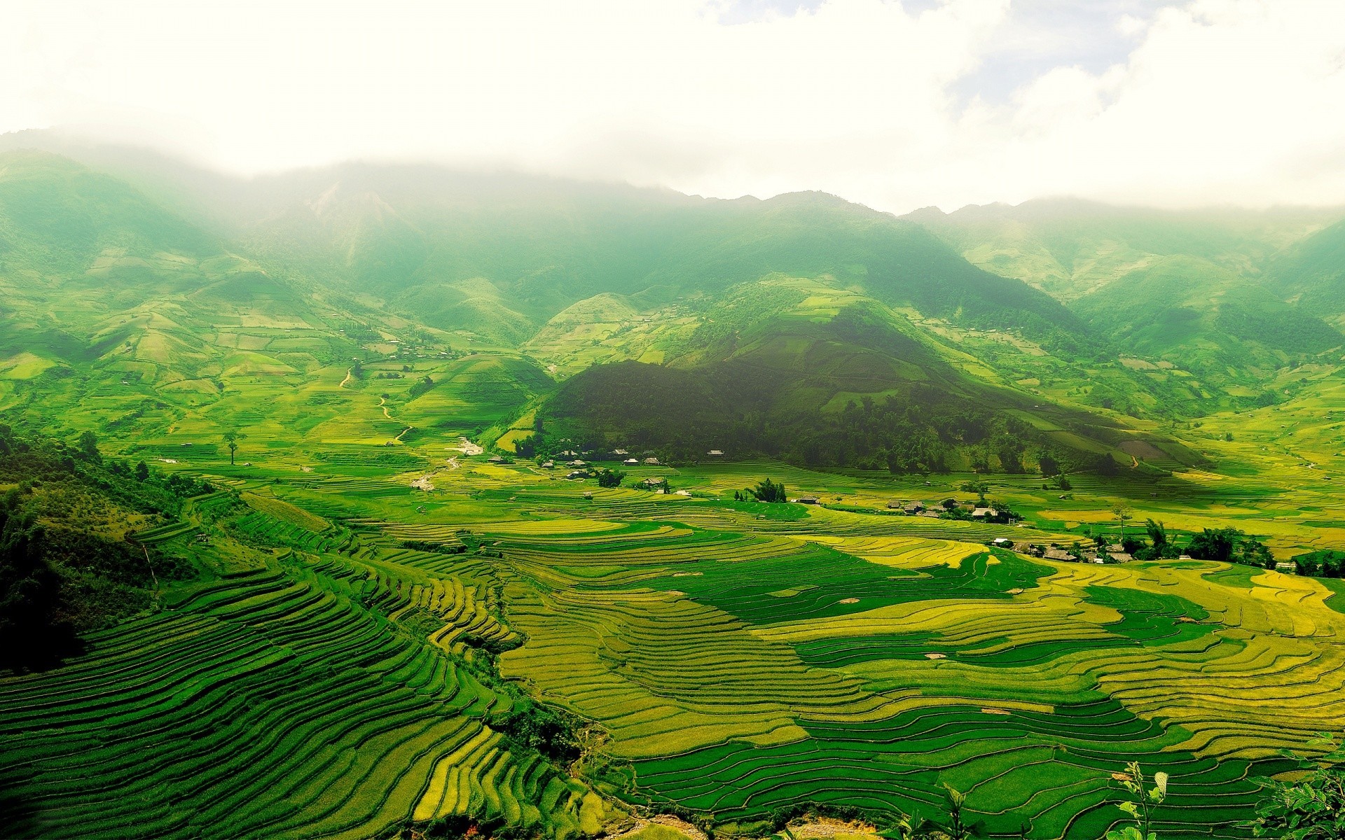 landscapes cropland nature travel outdoors agriculture rural landscape growth hill countryside summer mountain plantation valley tropical leaf lush tree wood