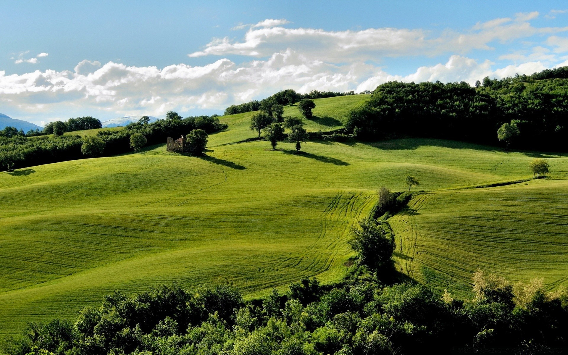 landschaft golf landschaft putten gras natur baum golfer im freien hügel fairway landschaft landwirtschaft landschaftlich heuhaufen pastoral himmel zypresse sommer weide