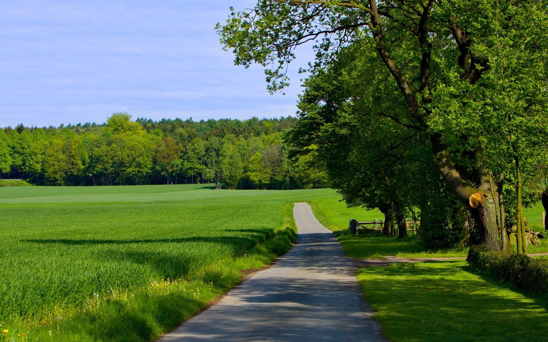 landscapes landscape tree grass road nature summer outdoors guidance wood environment rural scenic hayfield lawn countryside country daylight leaf park