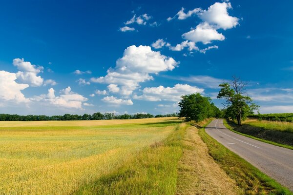 A ribbon of a road running into the distance between country fields