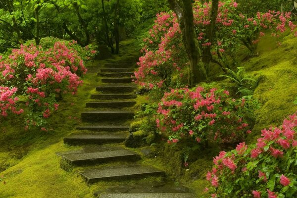 Paisagem no parque, árvores no jardim