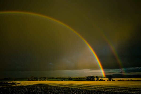 Arcobaleno in polneba sopra il campo giallo