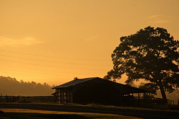 Casa solitaria bajo un árbol al atardecer