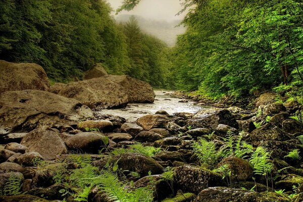 Landschaften der Natur der Weg des Wassers