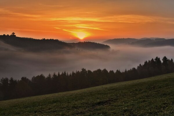 Sonnenuntergang in den Bergen über Nebel im Wald