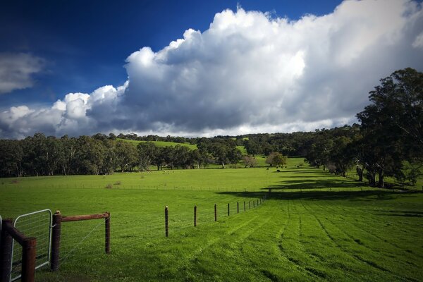 Campo verde com céu azul e nuvens