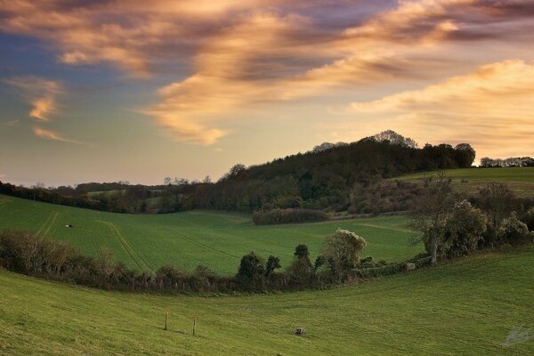 Nubes amarillas sobre el campo verde