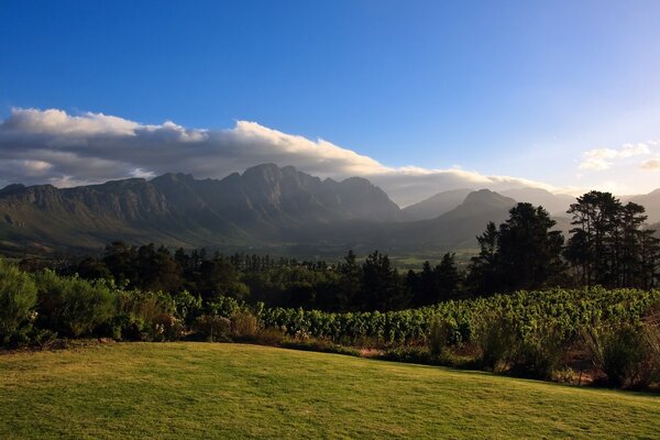 Magnificent view of the distant mountains