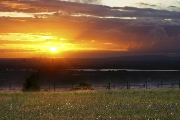 Heller Sonnenuntergang über dem Feld