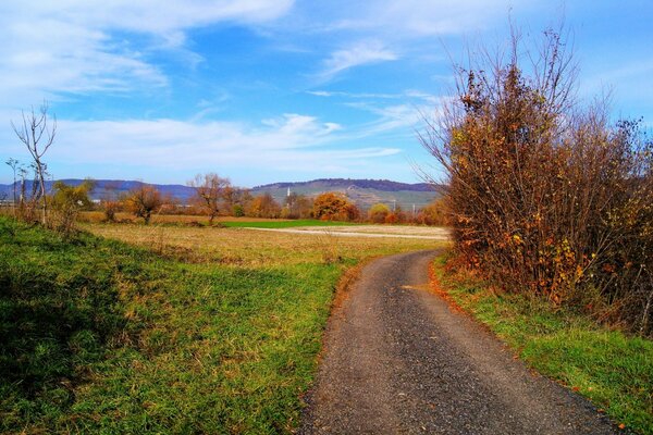 Der lange Weg in den goldenen Herbst