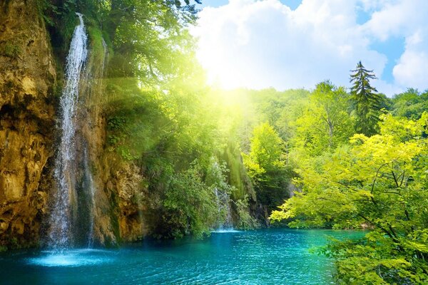 Paisaje de verano de lago forestal y cascada