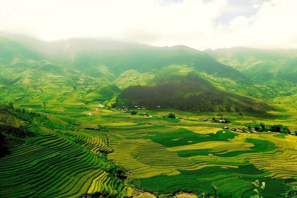 Montañas verdes con rayas