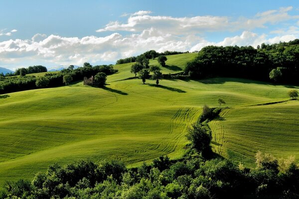 Paisagens de golfe na grama bip