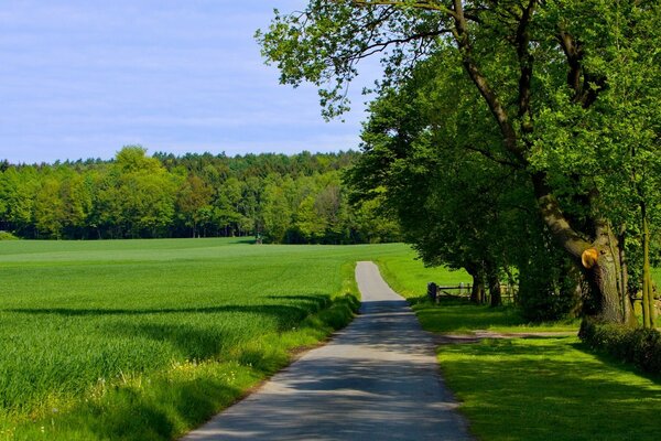 A road stretching into the distance of a green field