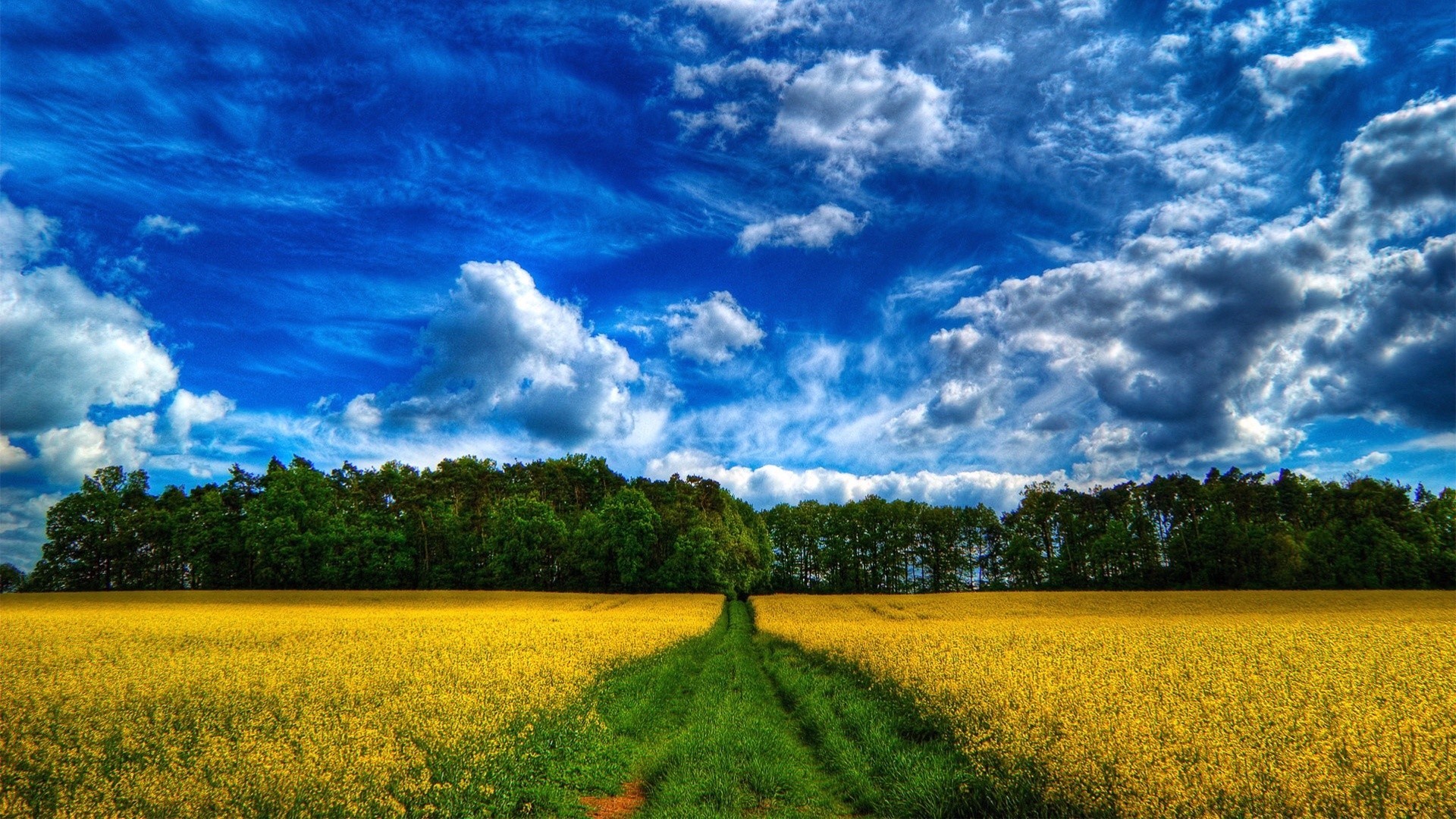 landscapes sky landscape nature agriculture field cloud rural summer countryside outdoors horizon farm fair weather sun tree weather daylight hayfield grass