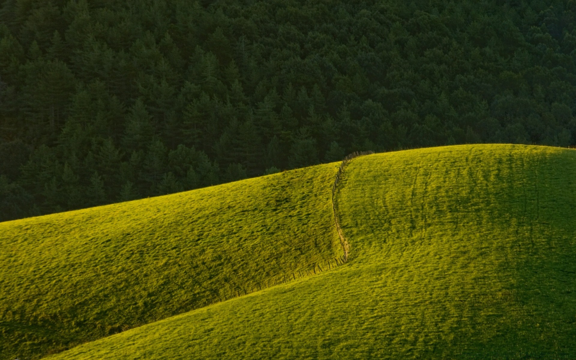 paysage paysage terres cultivées à l extérieur agriculture nature texture lumière du jour